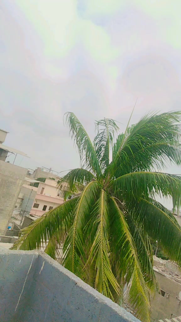 @Sadaqat Arain