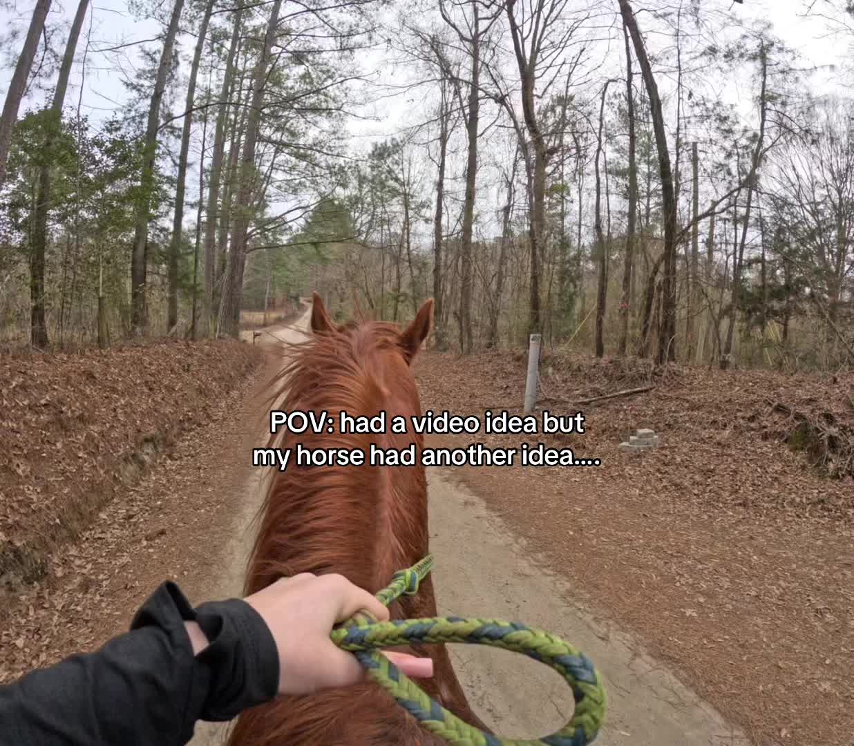@Caddy Merch