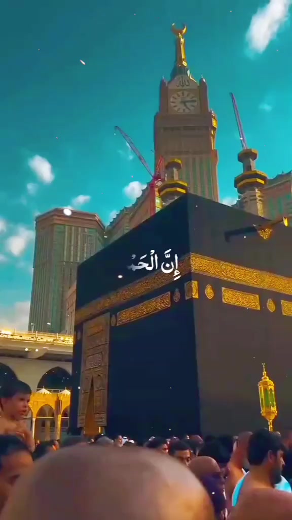 @💸سید حیدر بخاری 💸
