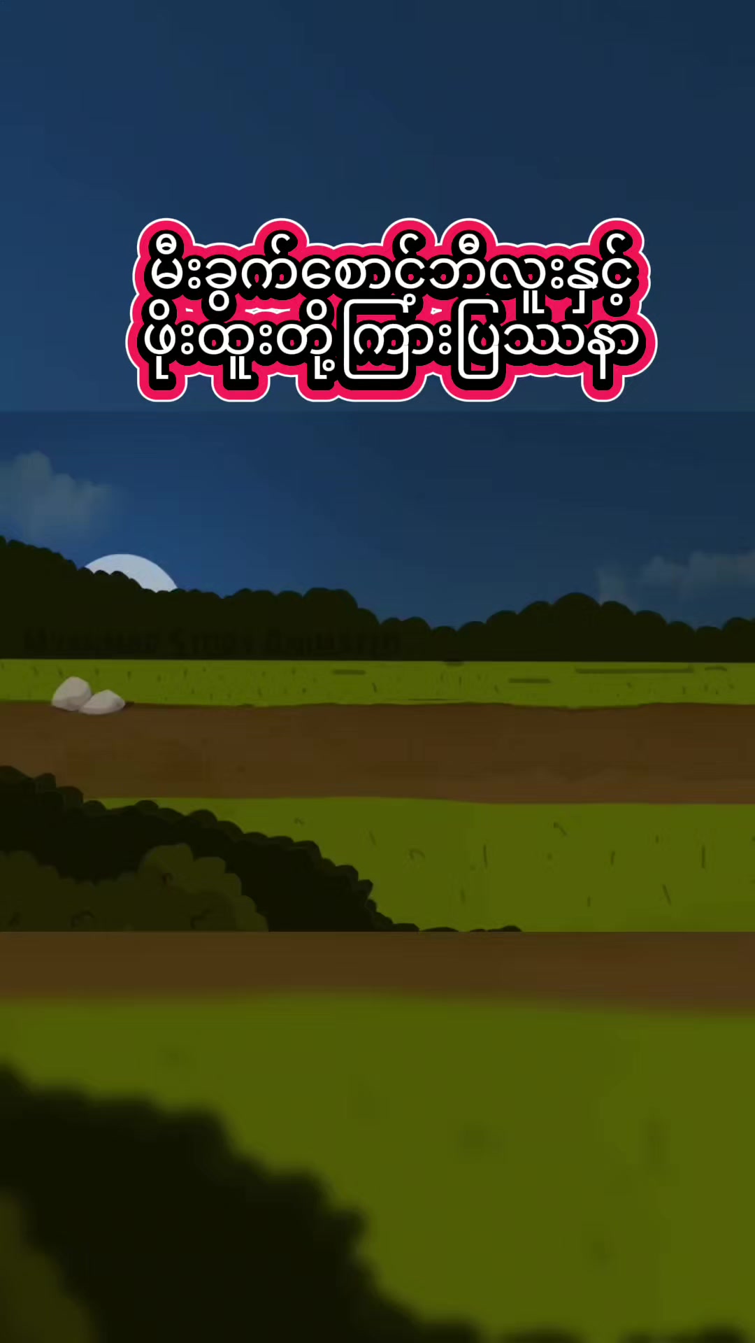 @MM Story Animated-MMSA✅