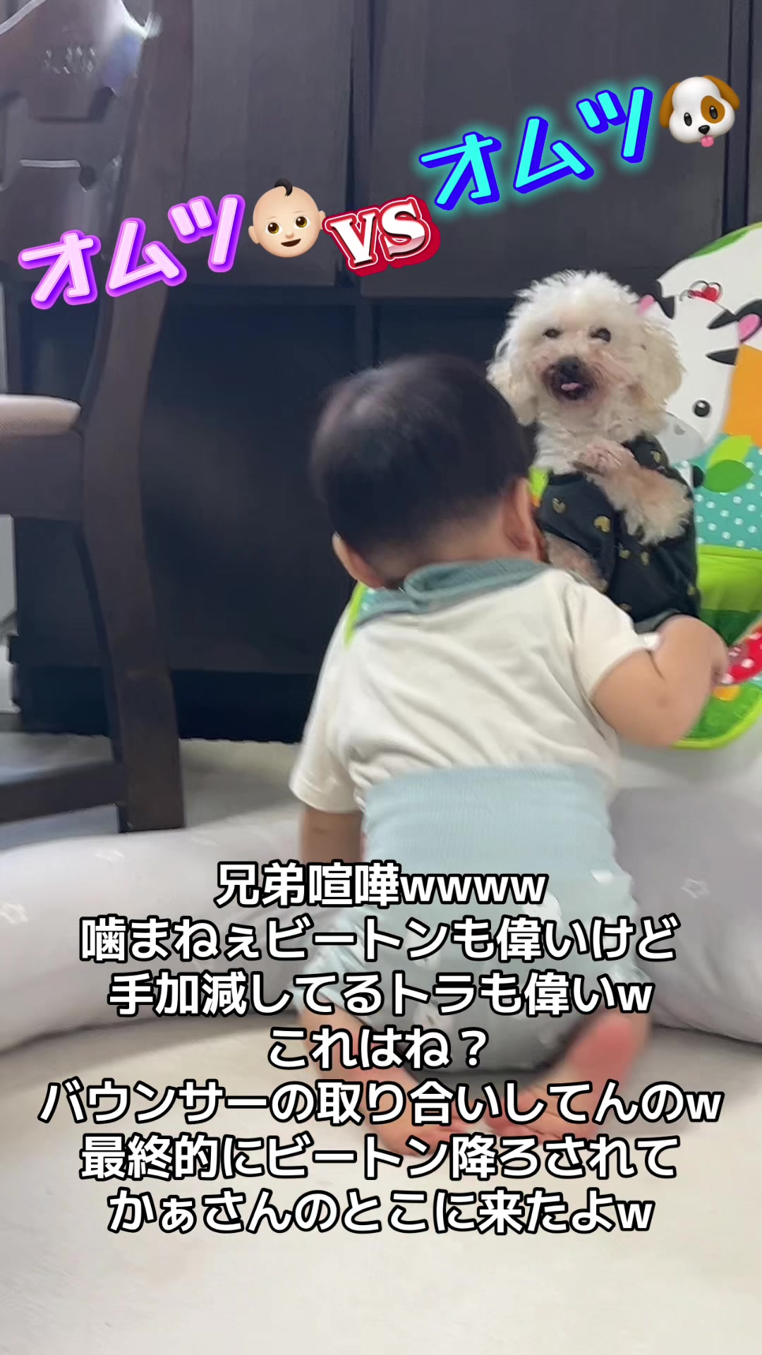 @とらままんち