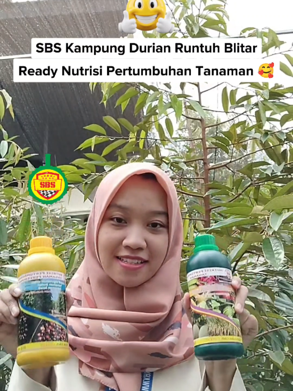 @Produksi Buah_SBS