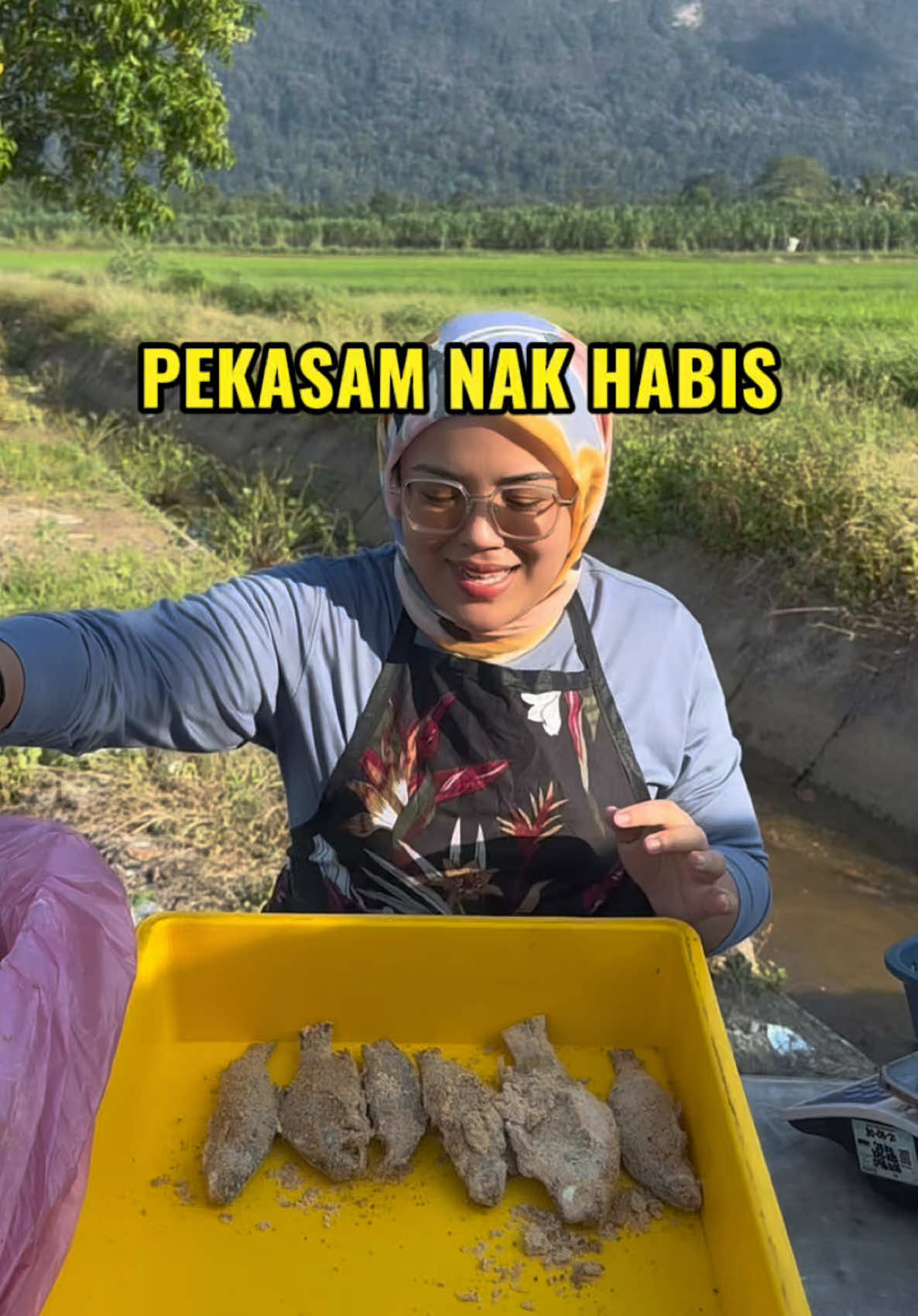 @Belacan House Tg. Dawai