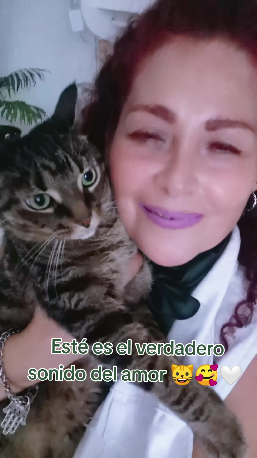@viikyrs