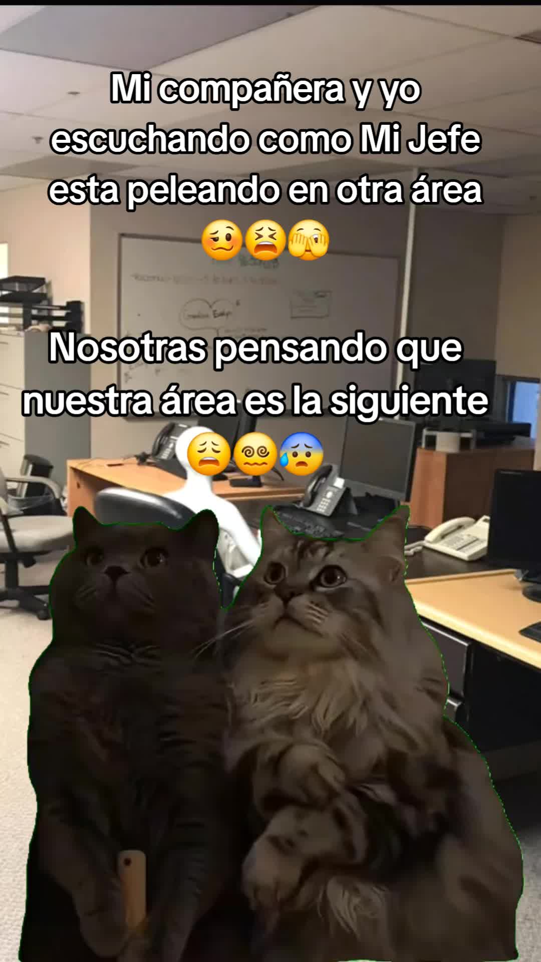 @Andrea Elizaneth