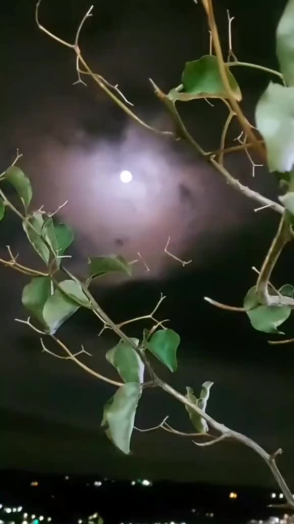 @من جهات الاتصال