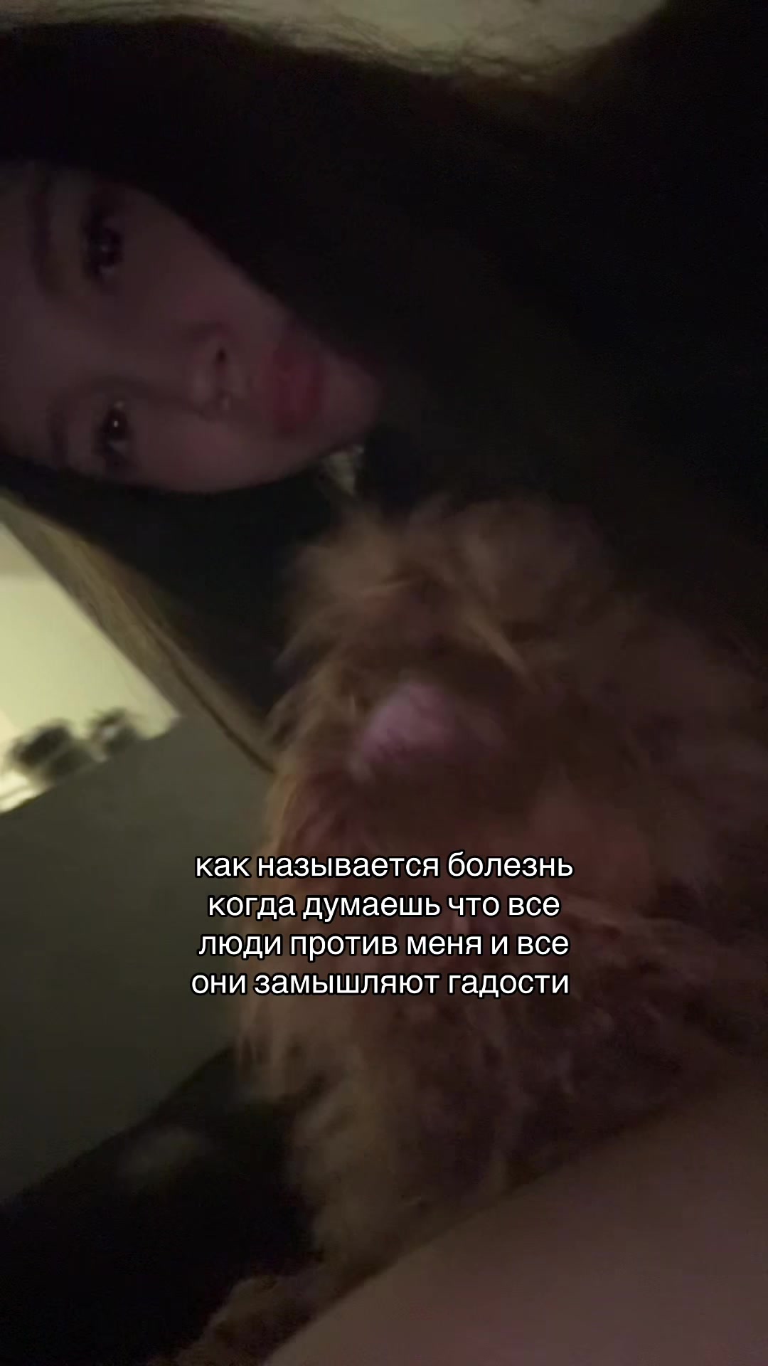 @тгк: nikakaiser