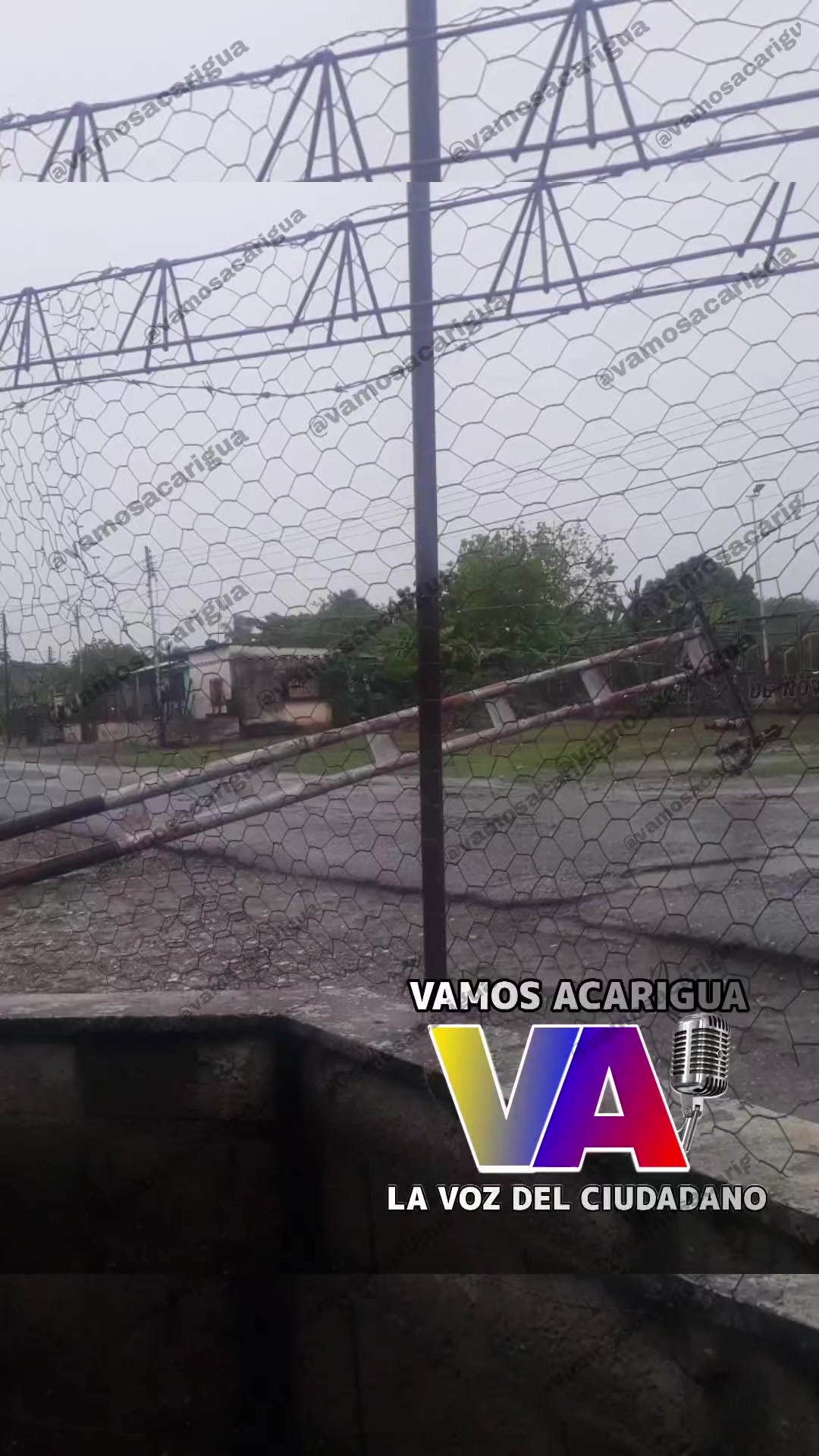 @Vamos Acarigua