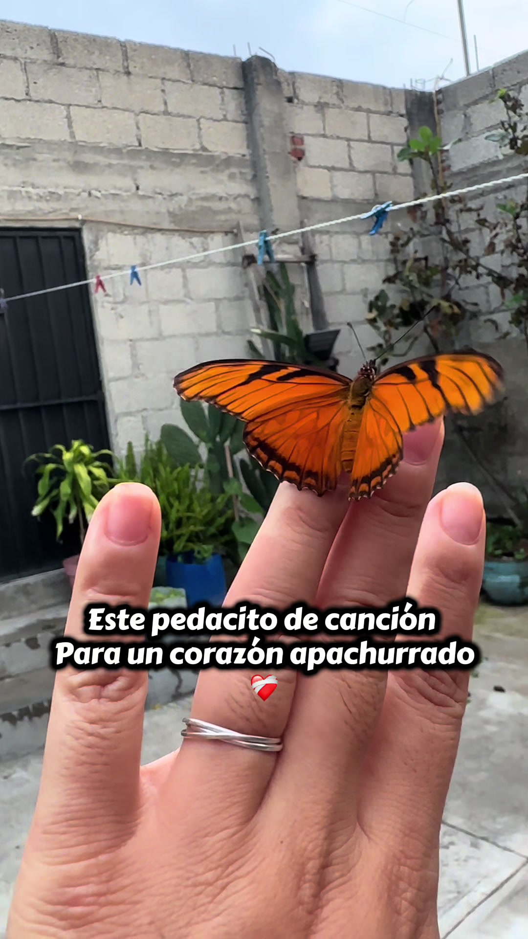 @🌙Mariana De la Noche✨