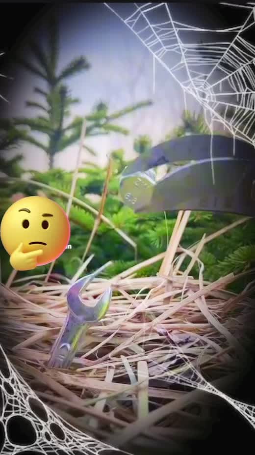 @THẾ GIỚI ĐỘNG VẬT 💧