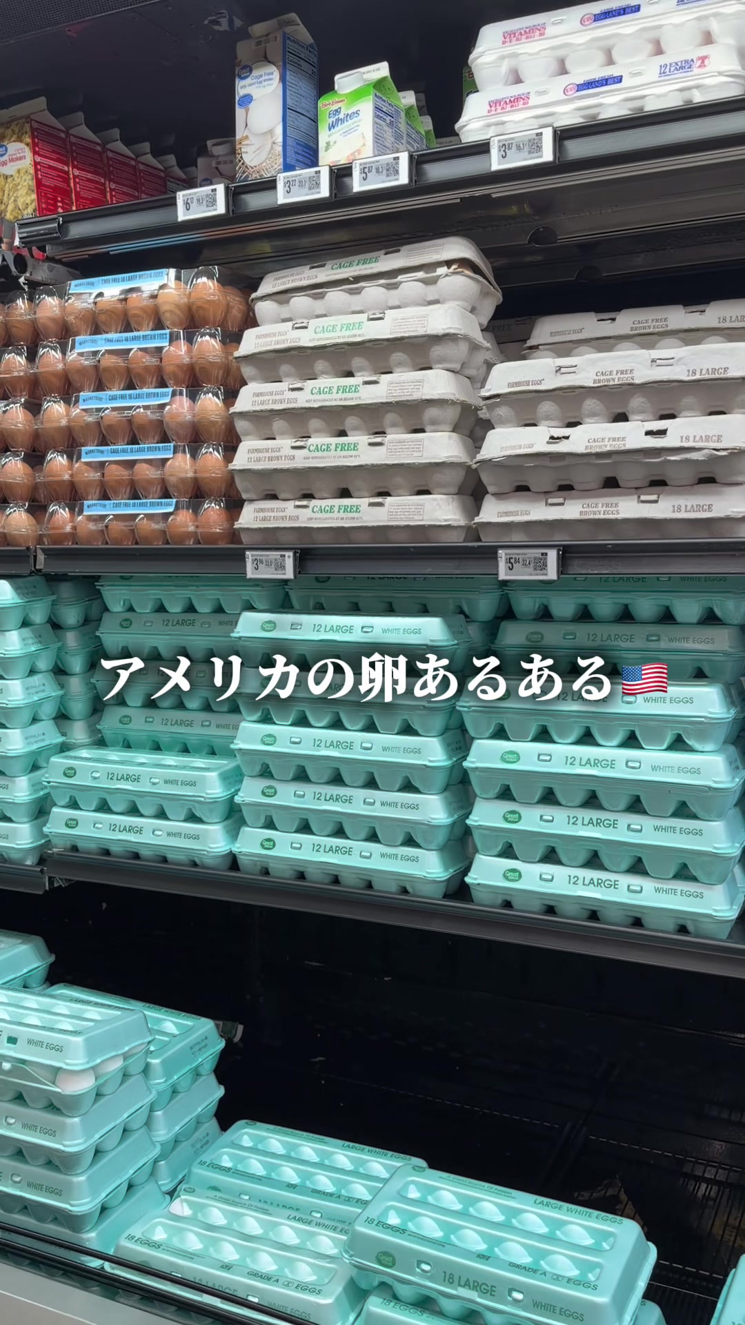 @しゅんぼーー
