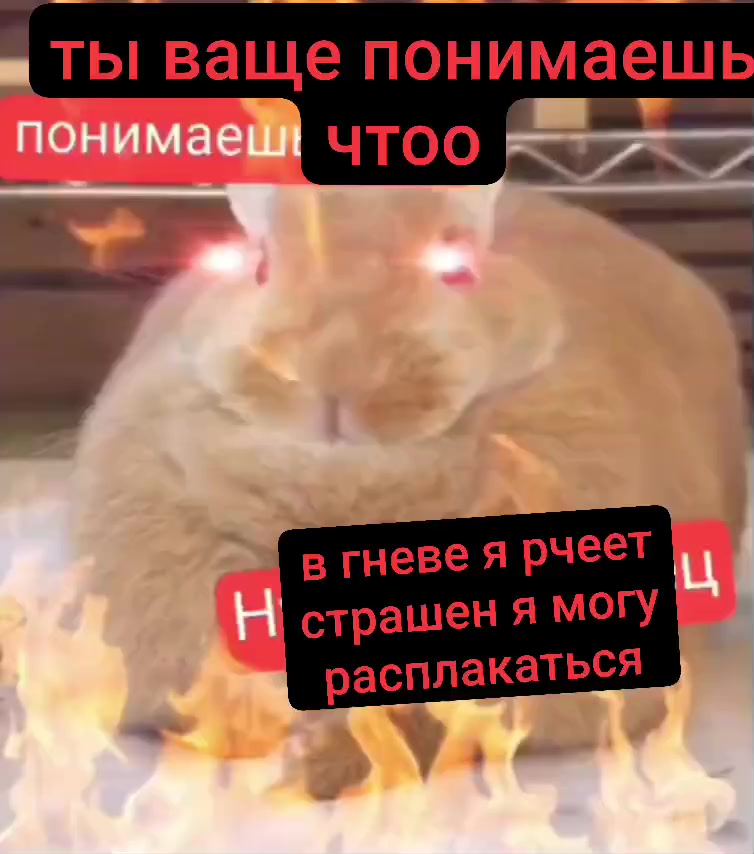 @крутая варандешка пинки 228