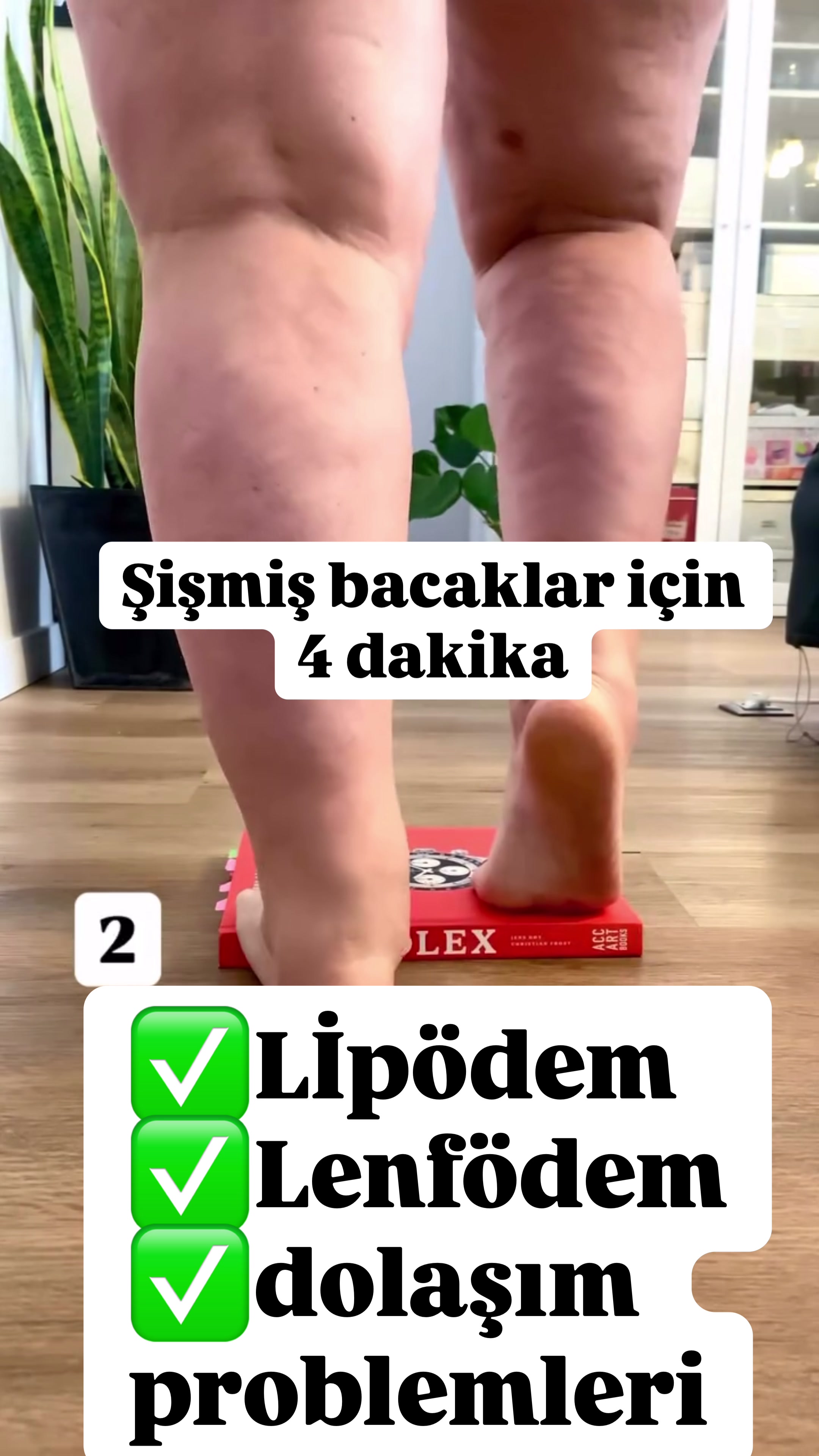 @Dr. Beşir Şahin İnceer