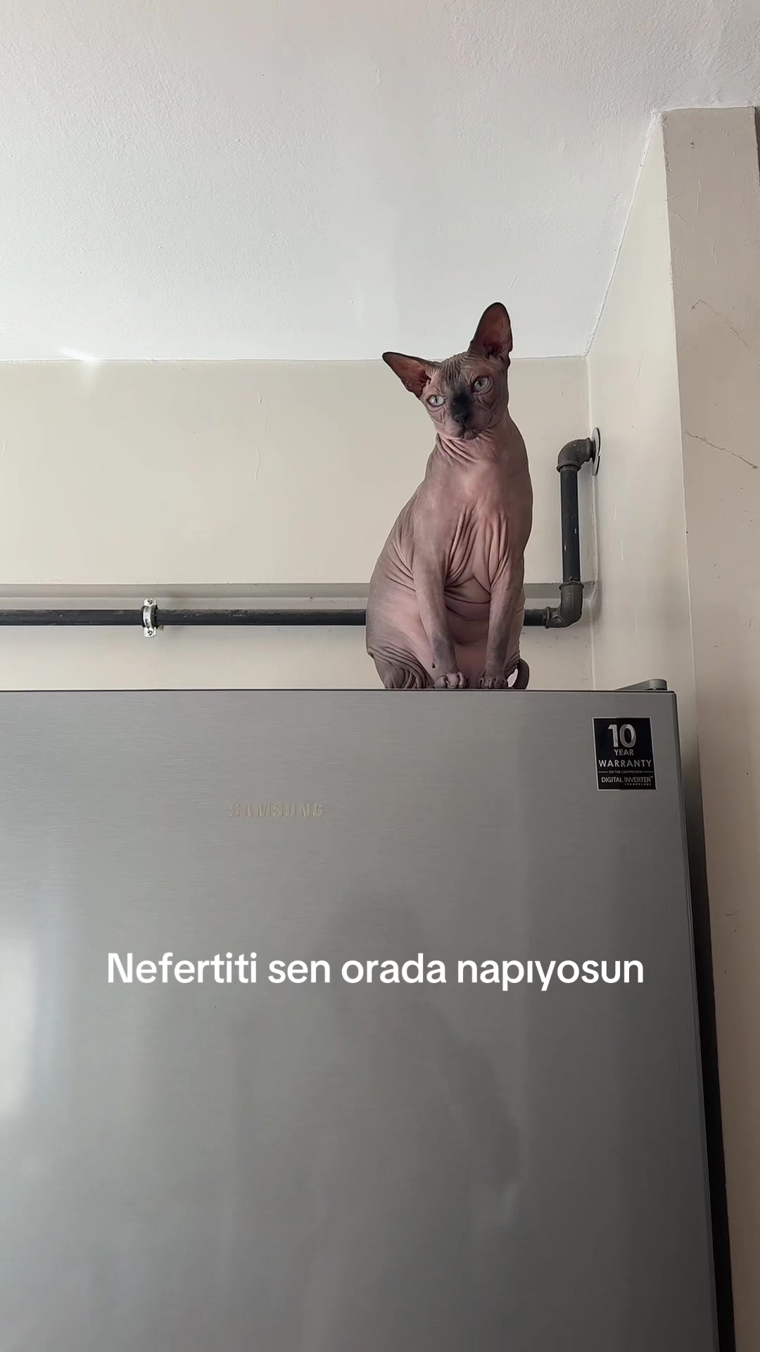 @Larin