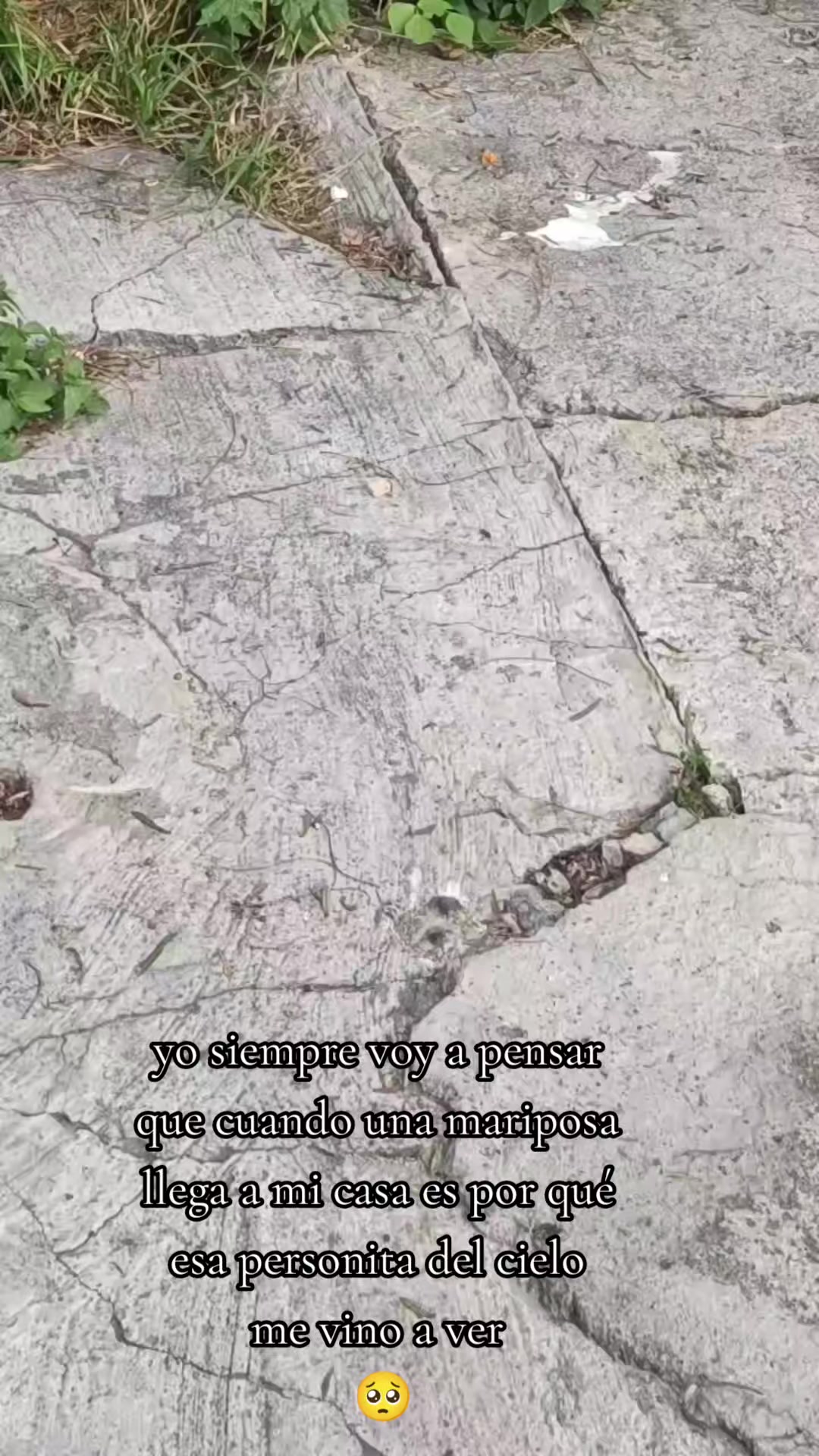 @chapiss