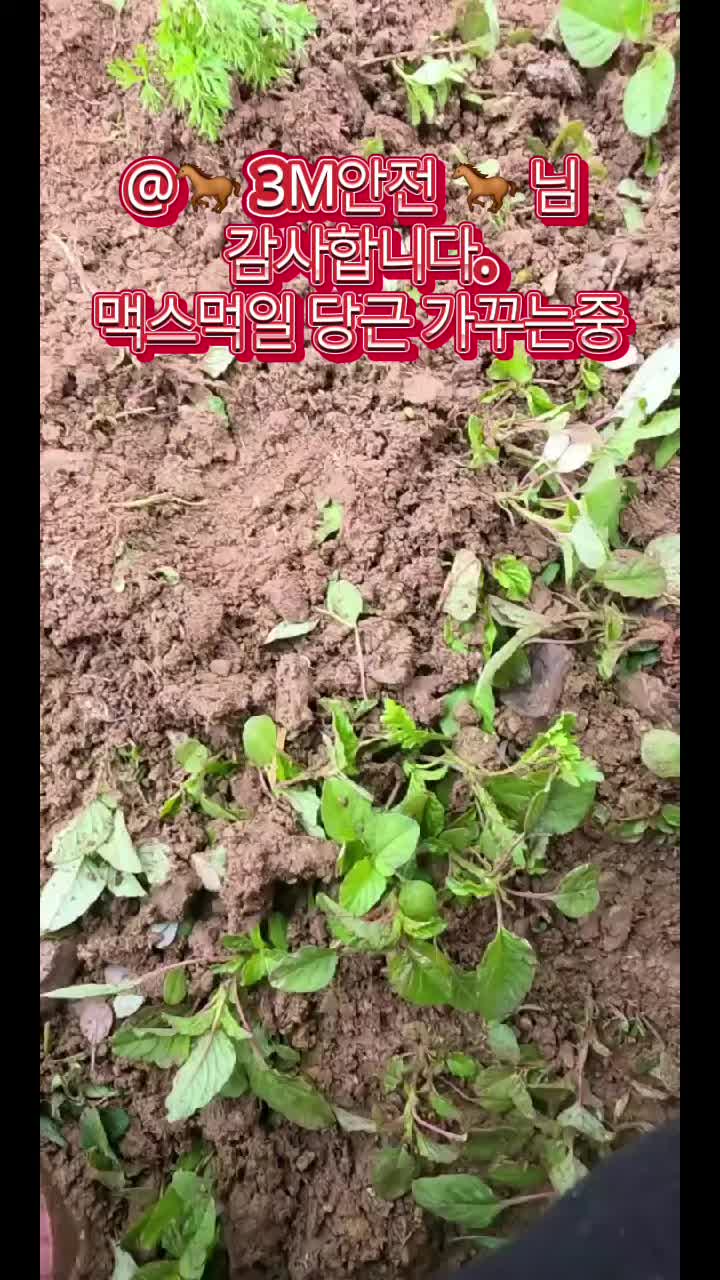 @말타는피부원장🐎김미애🐎
