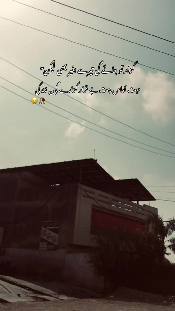 @>پاگل ہو <🦋