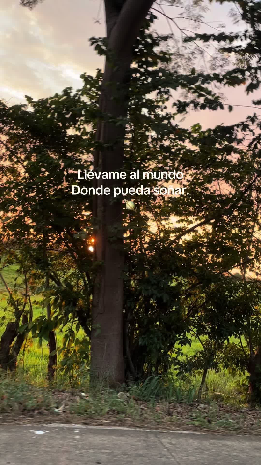 @Jaqueline Santizo