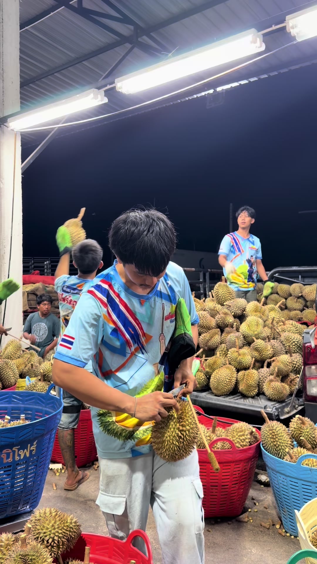 @แผงทุเรียนมินิโฟร์