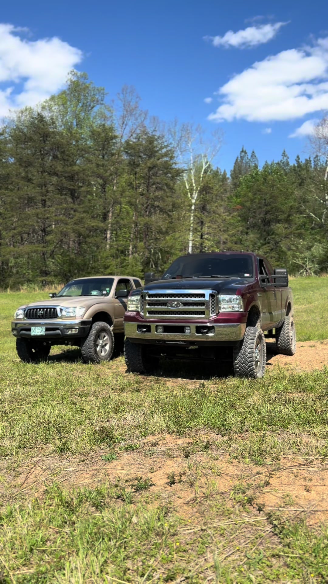 @6.0_dane