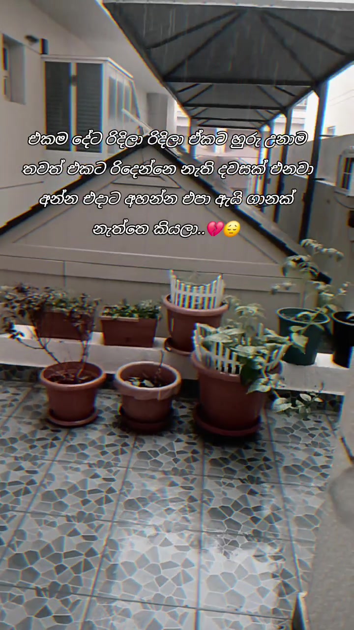 @☸darshana☸     🇰🇼