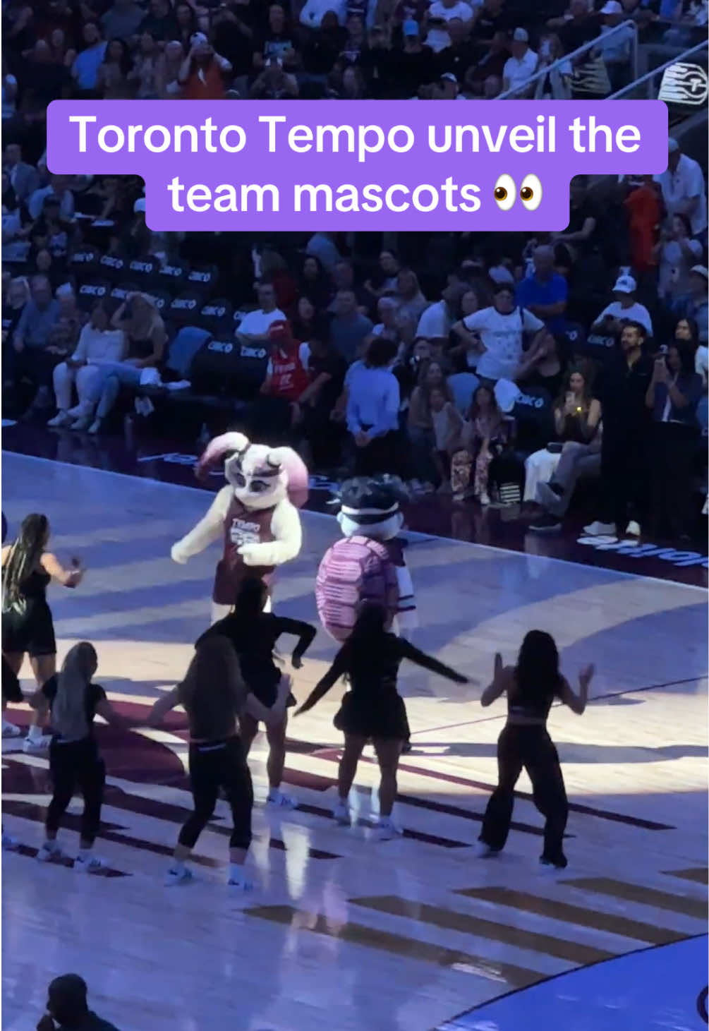 @hoopthereitisshow