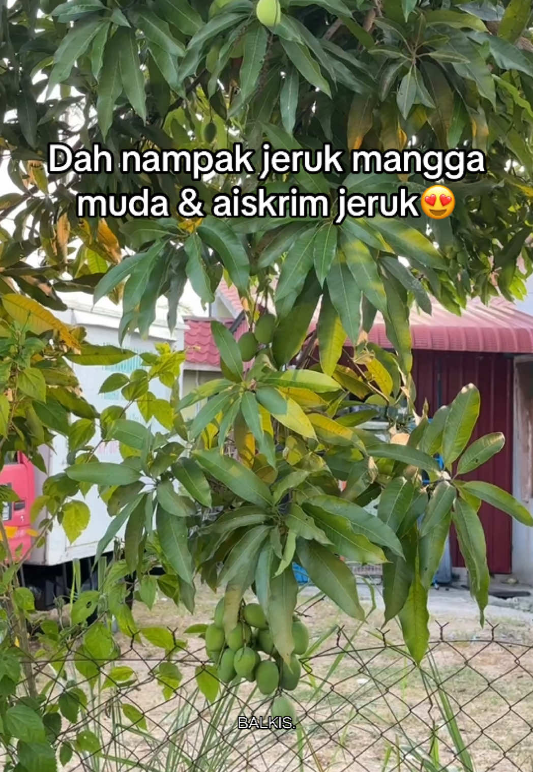@Balkis.𐙚