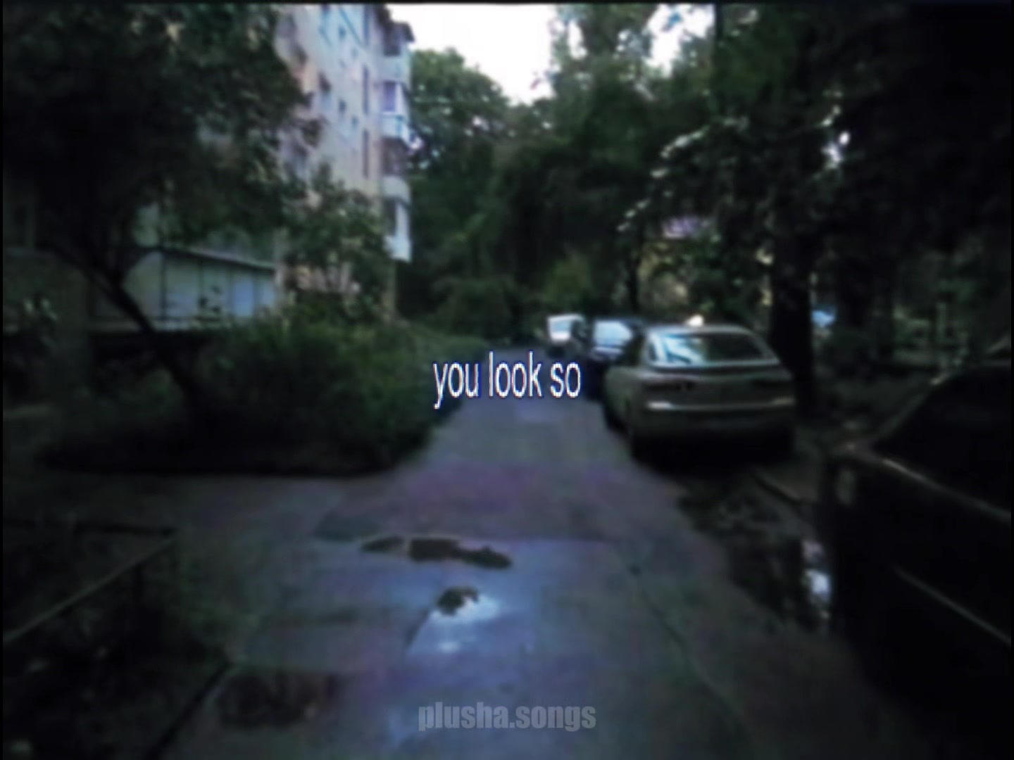 @тгк: songs || plusha