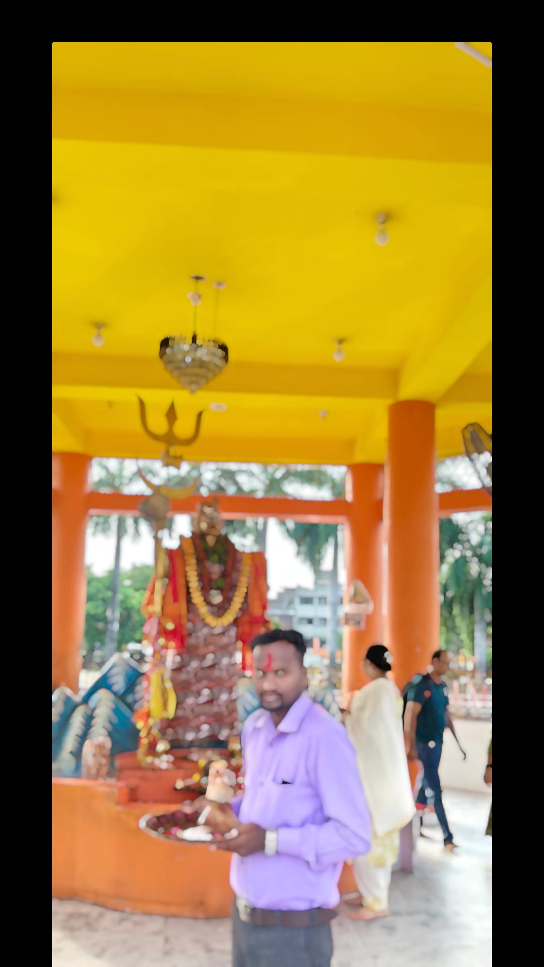 @👑 Mr R.k ✅☘️🚩