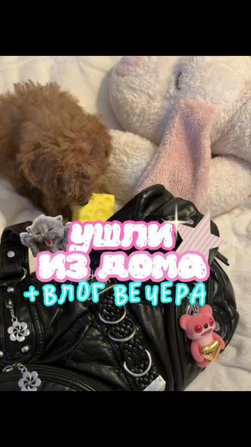 @дашкак