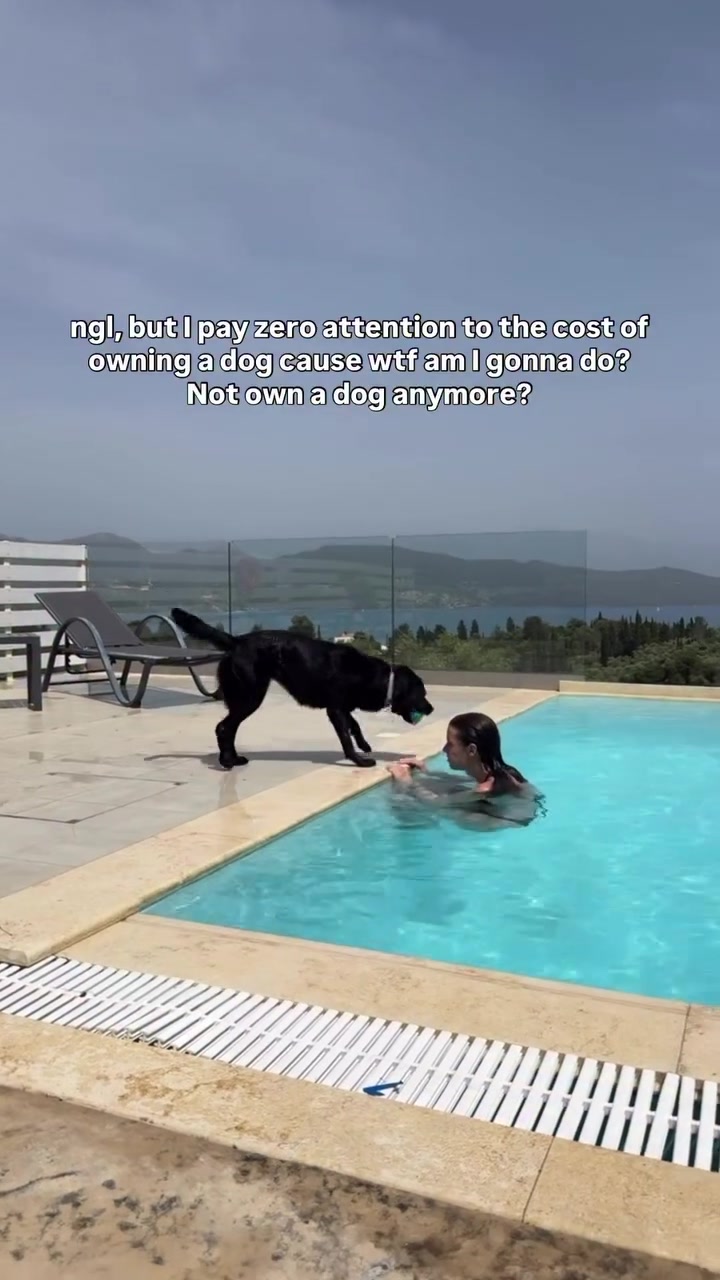 @lisatheblacklab