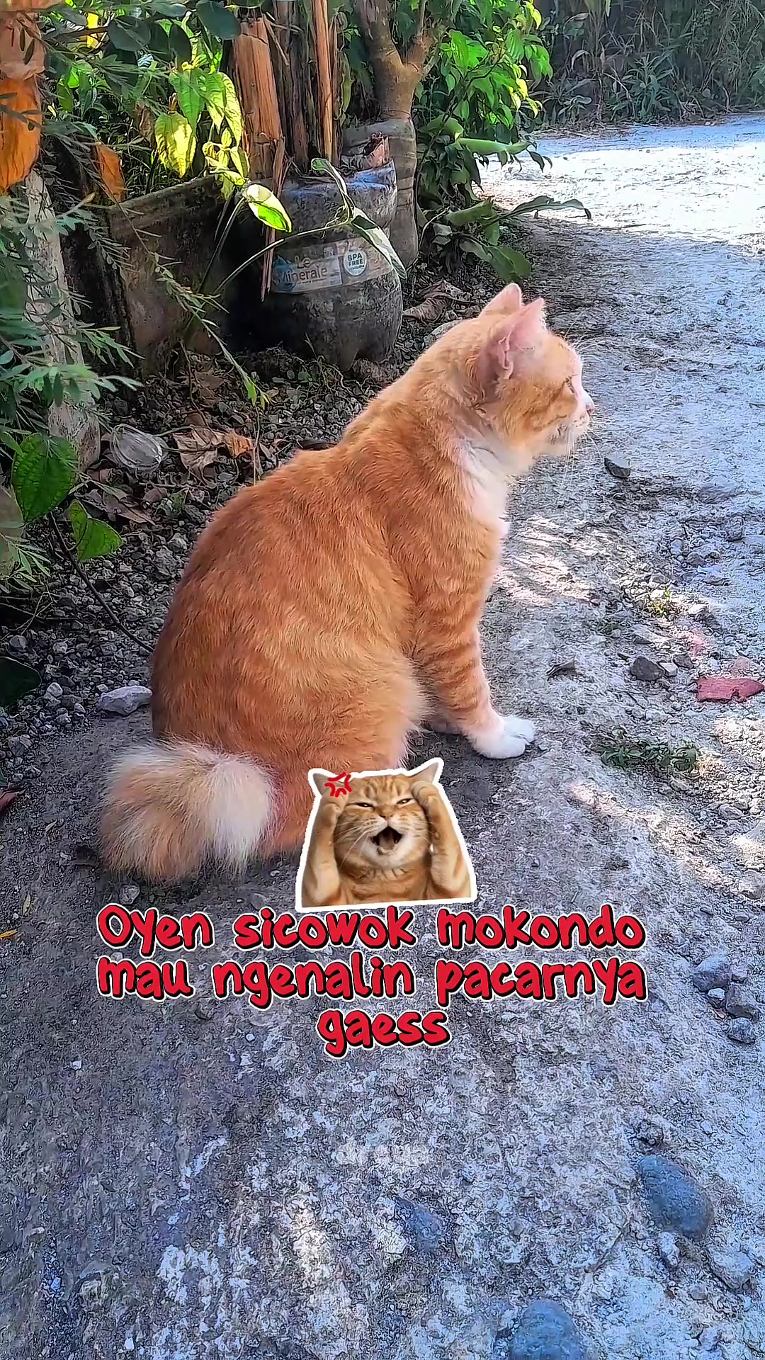 @randompost