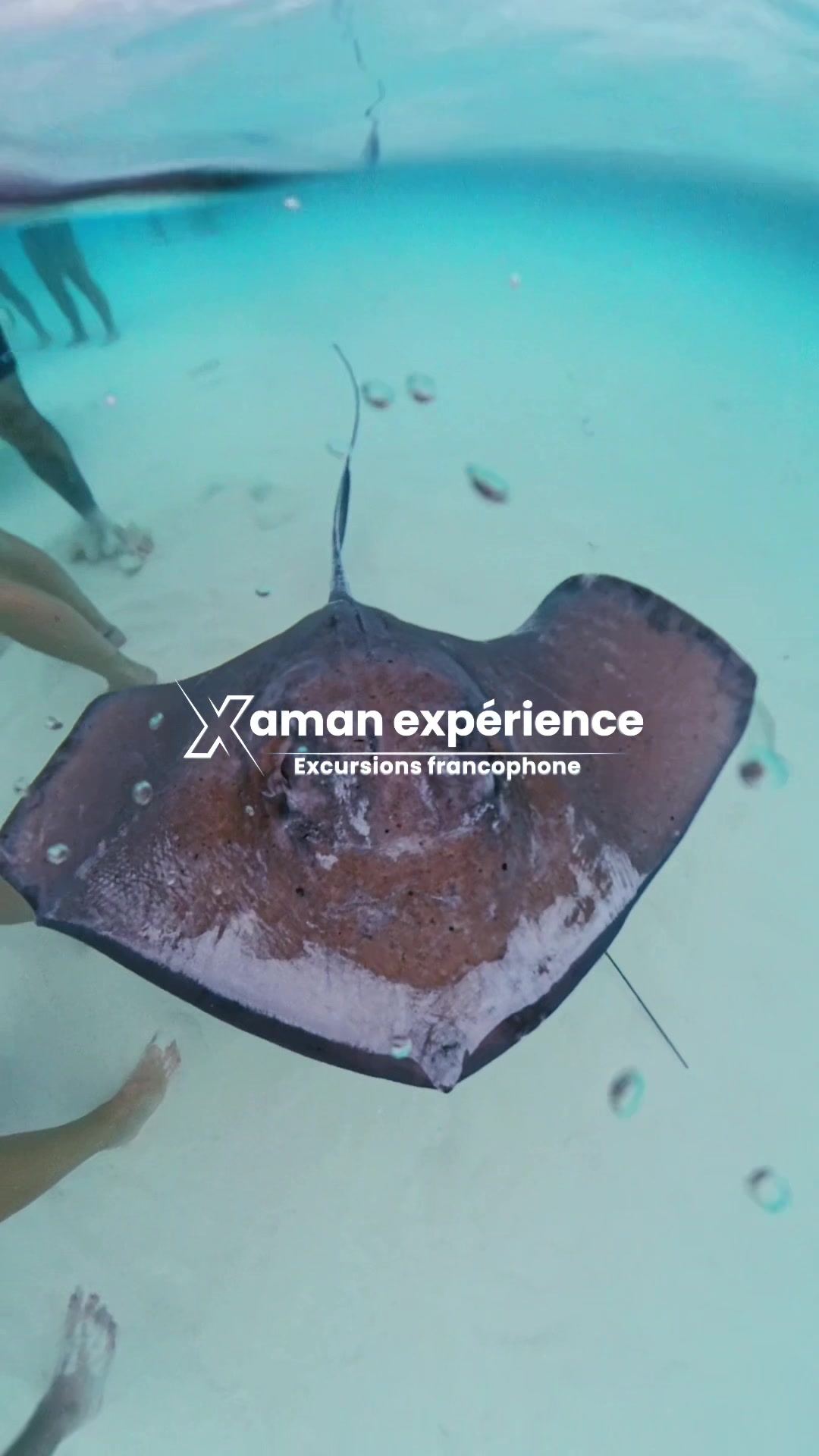 @xamanexperience