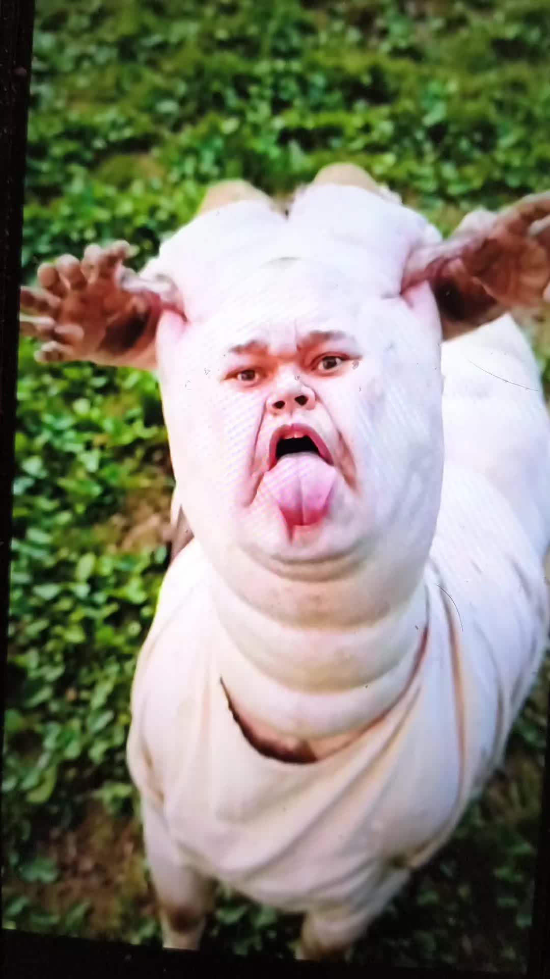 @RingDoorBellVideos