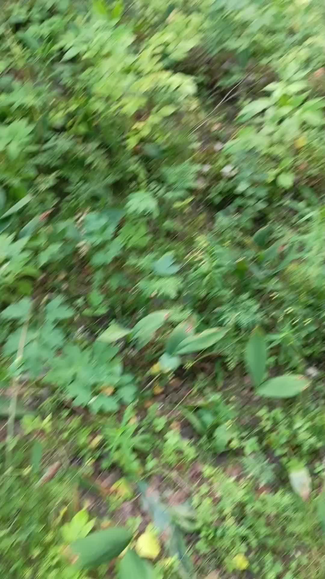 @мучачо