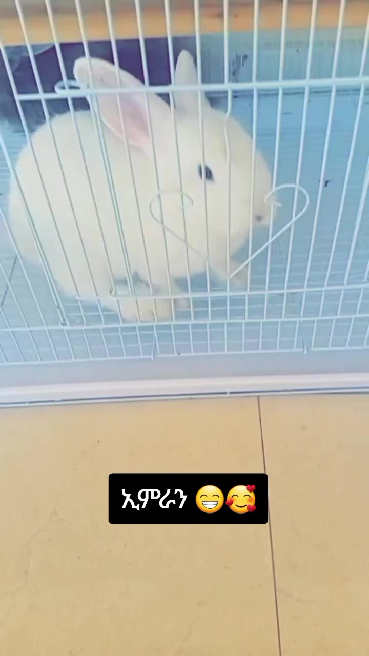 @jemuti🦋🇹🇷
