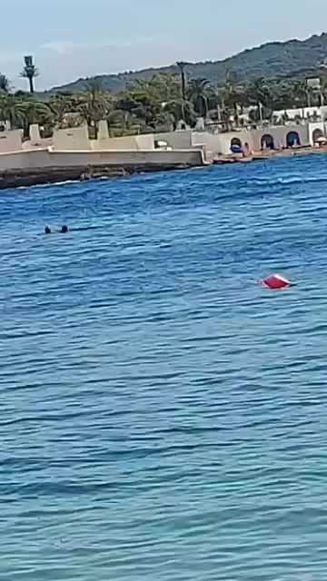 @Fouad pêcheur