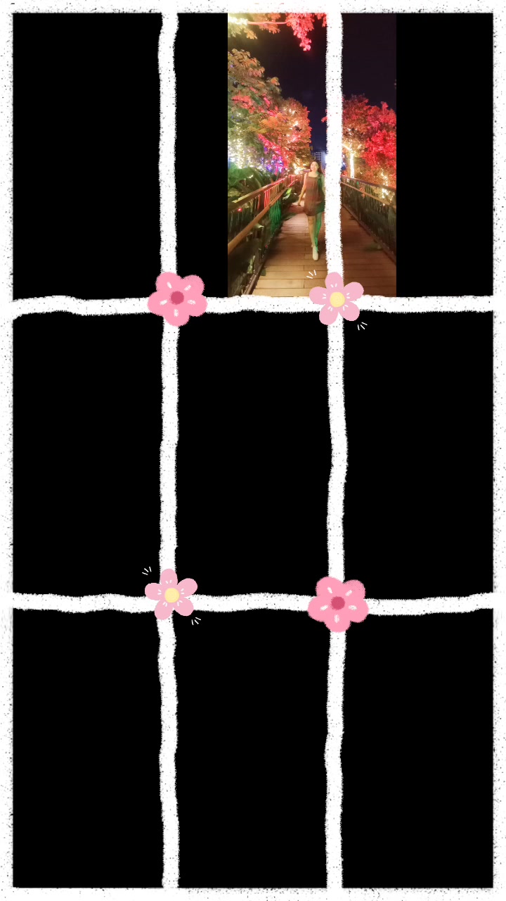 @Dolly🐣🌺