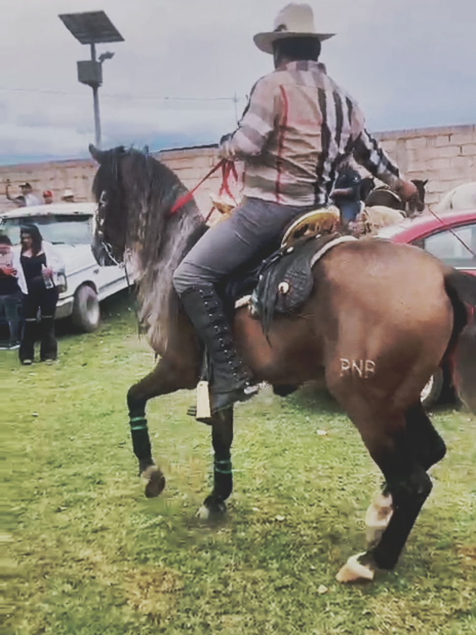 @AlejoRodriguez🎙🐎❤️