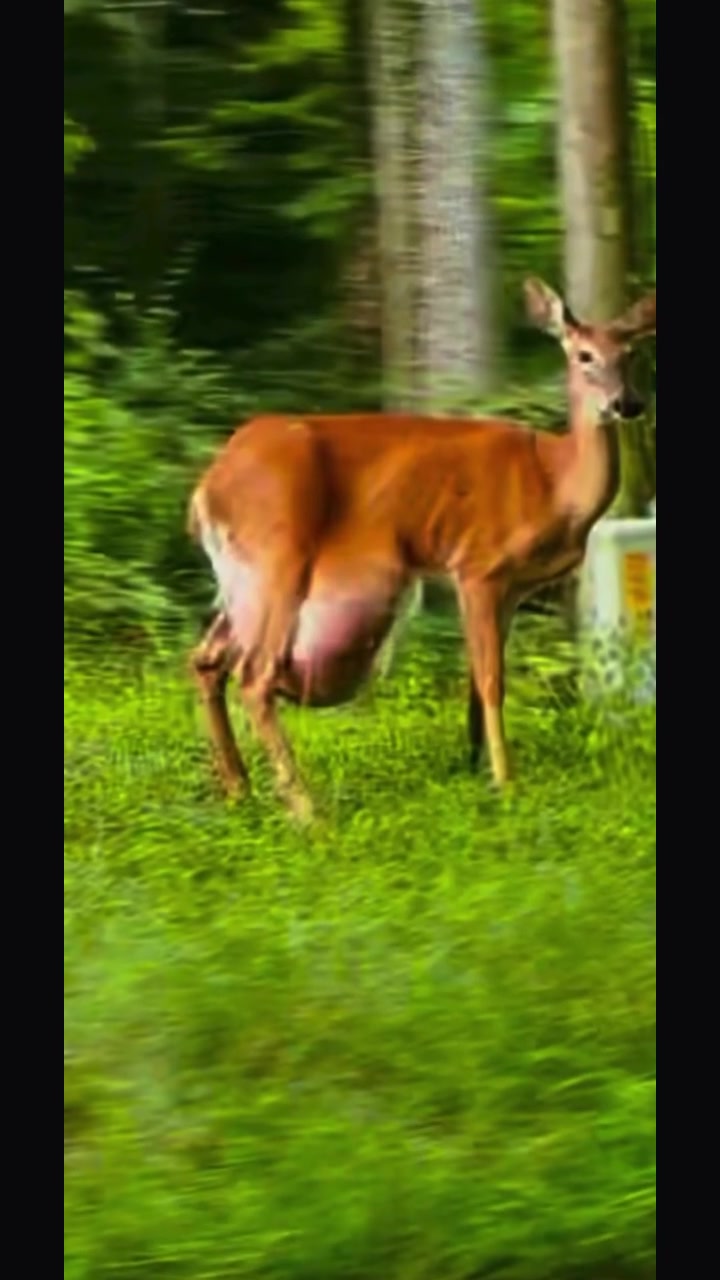 @Buckmasters Outdoors