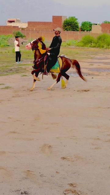 @Rai Usman