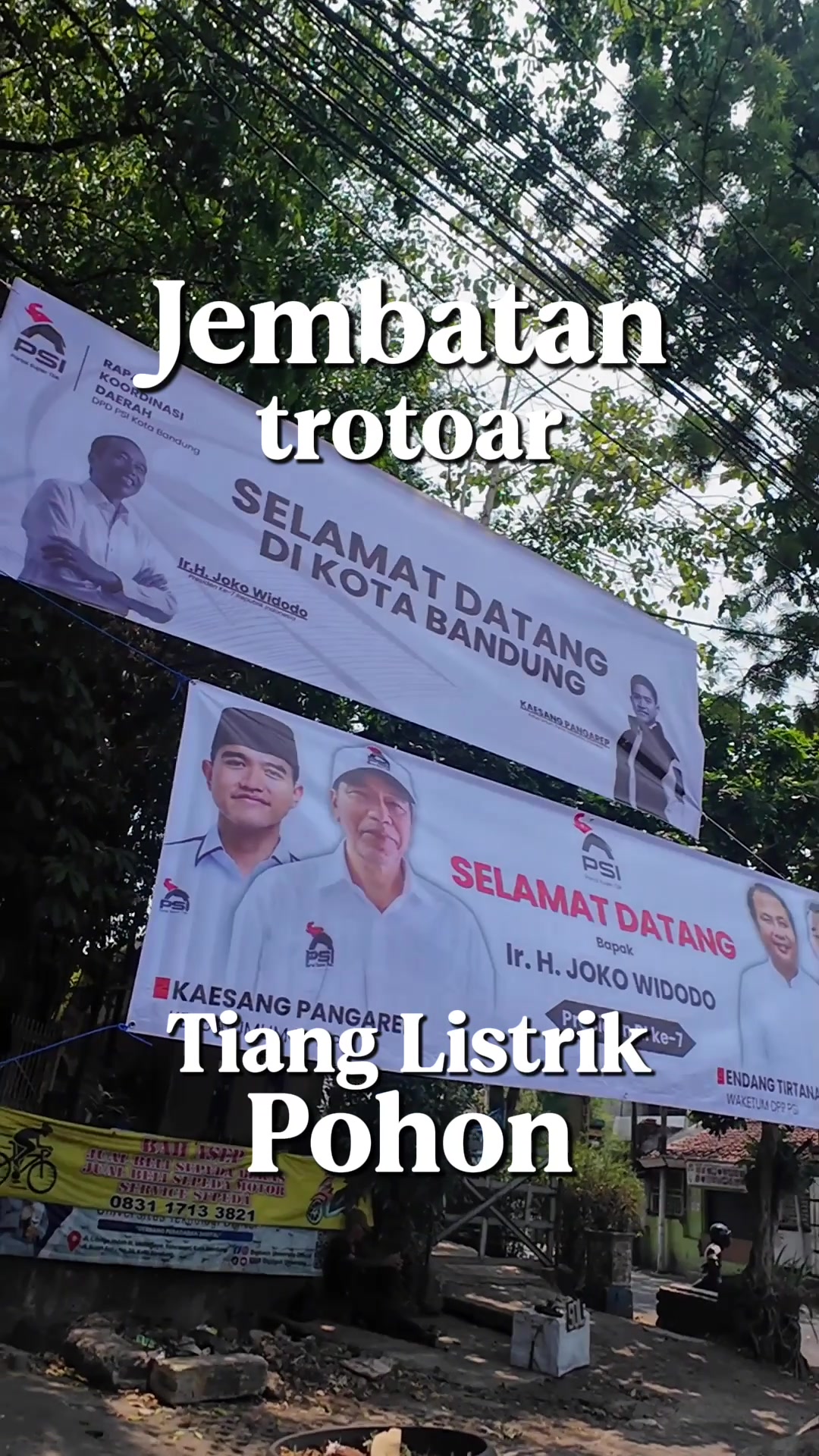 @alwijo