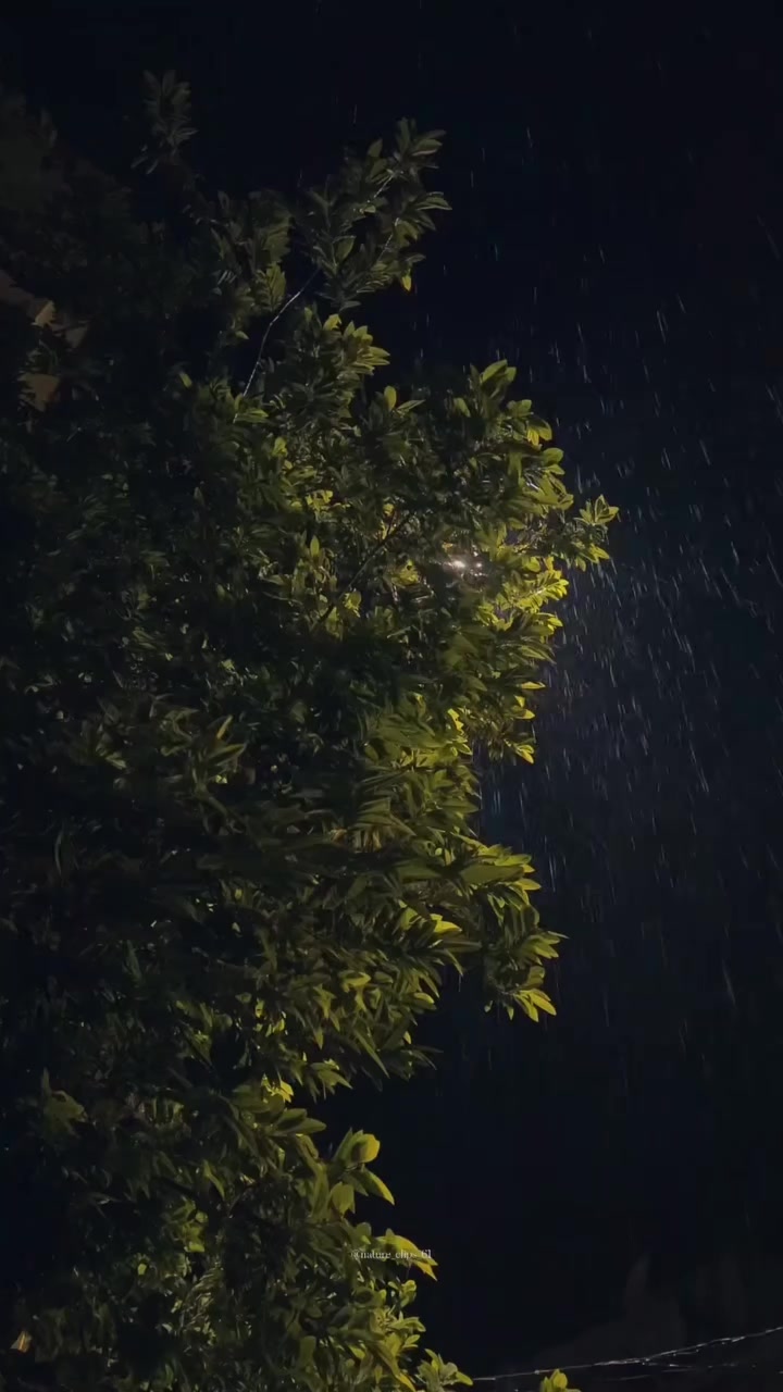 @B7F乛حسيب