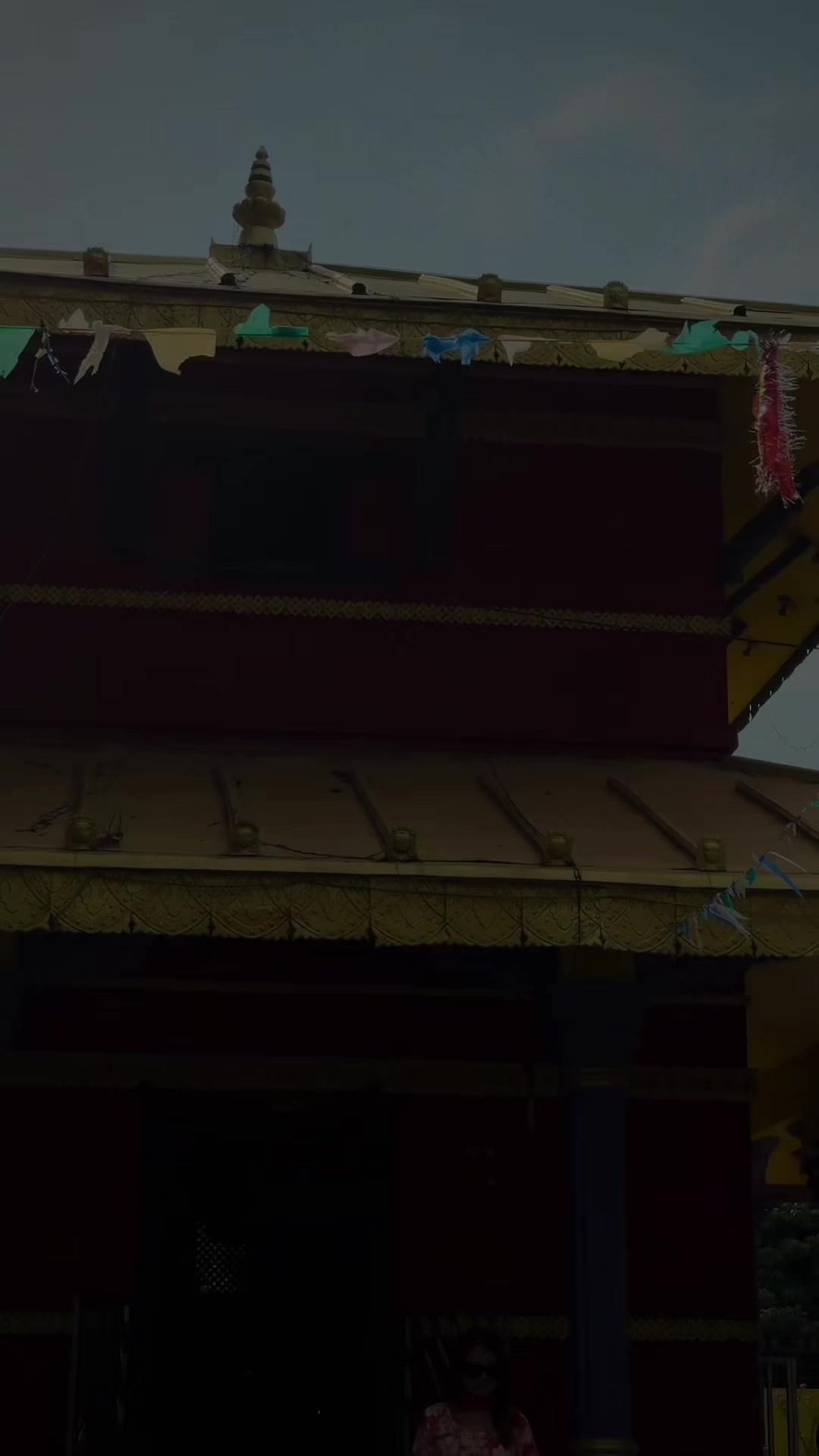 @Shandya Regmi🦚✨