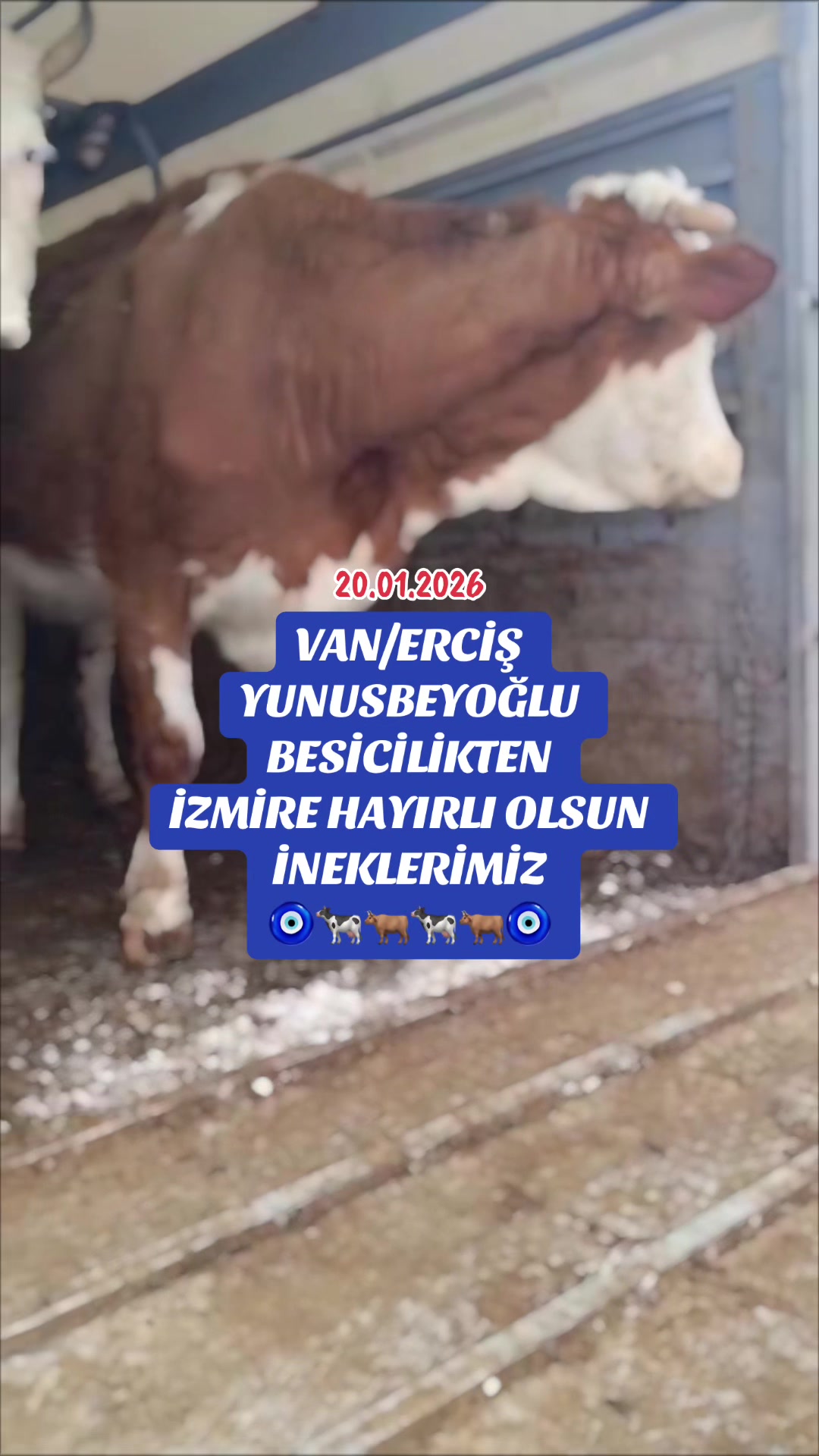 @Erhan Hasdemir