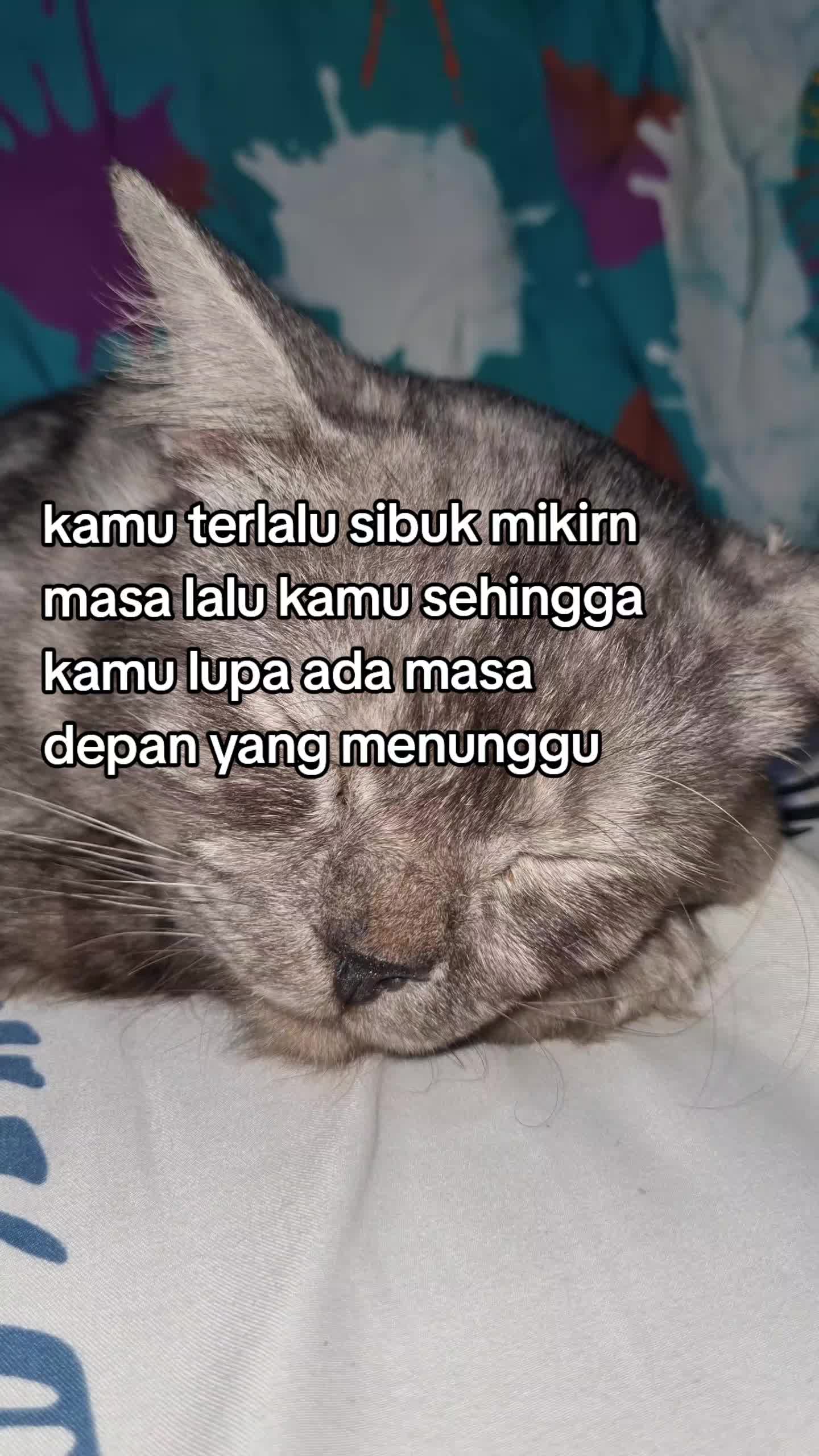 @wariii