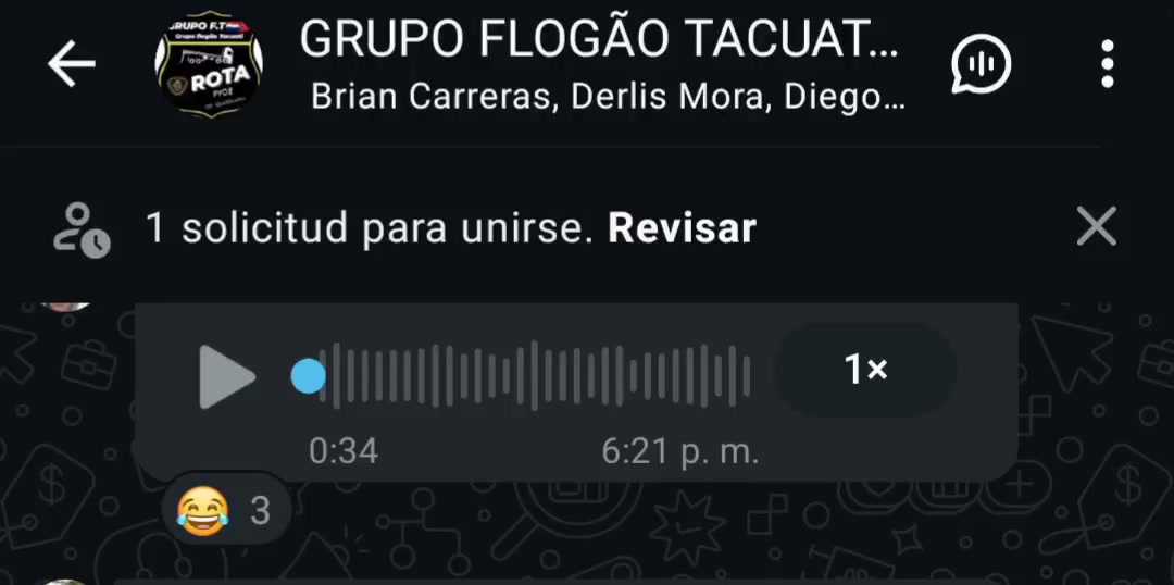 @GRUPO F.T🇵🇾💯