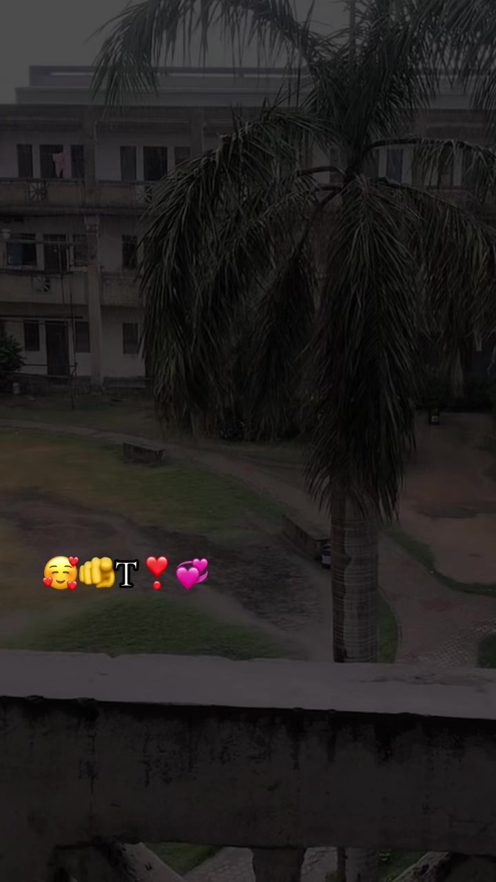 @Toqeer Rajput😎❣️😘