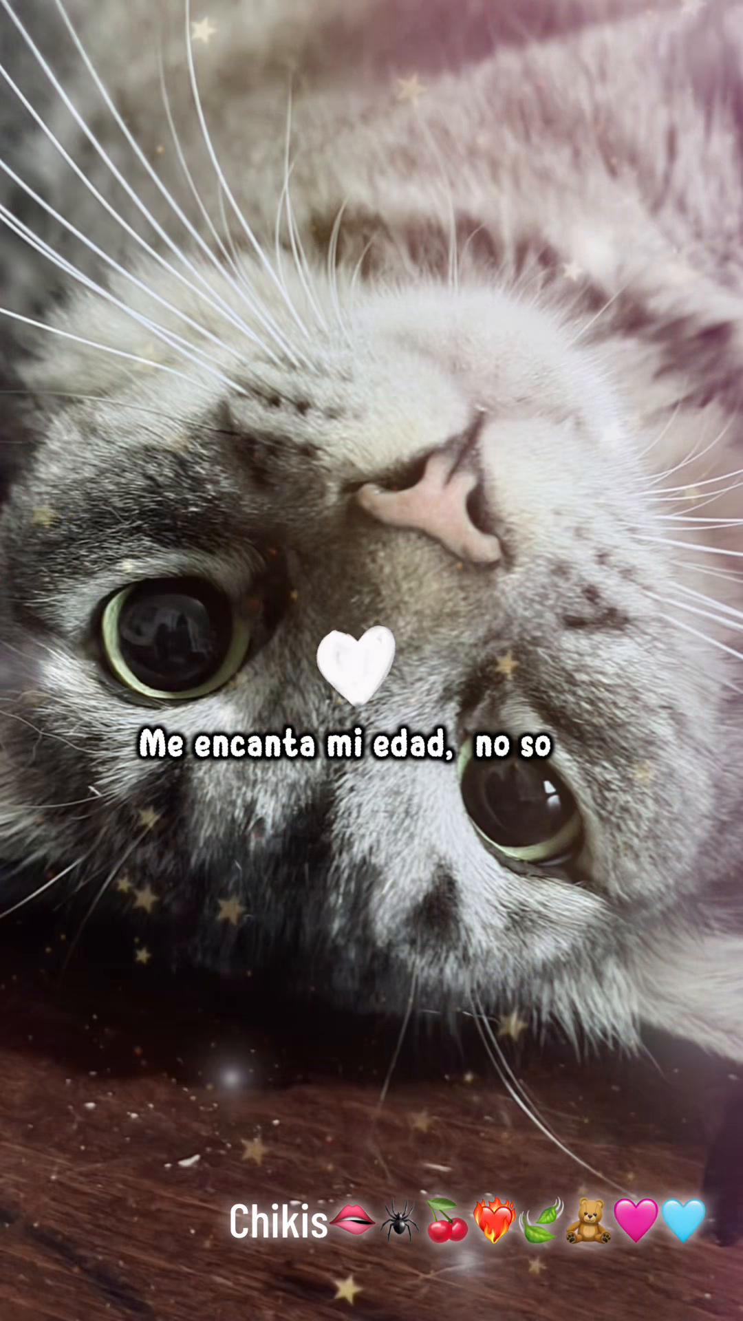 @👑🄲𝔥𝔦k̊̈𝔦ֆ🕷️🪼💋❤️🔥🍒