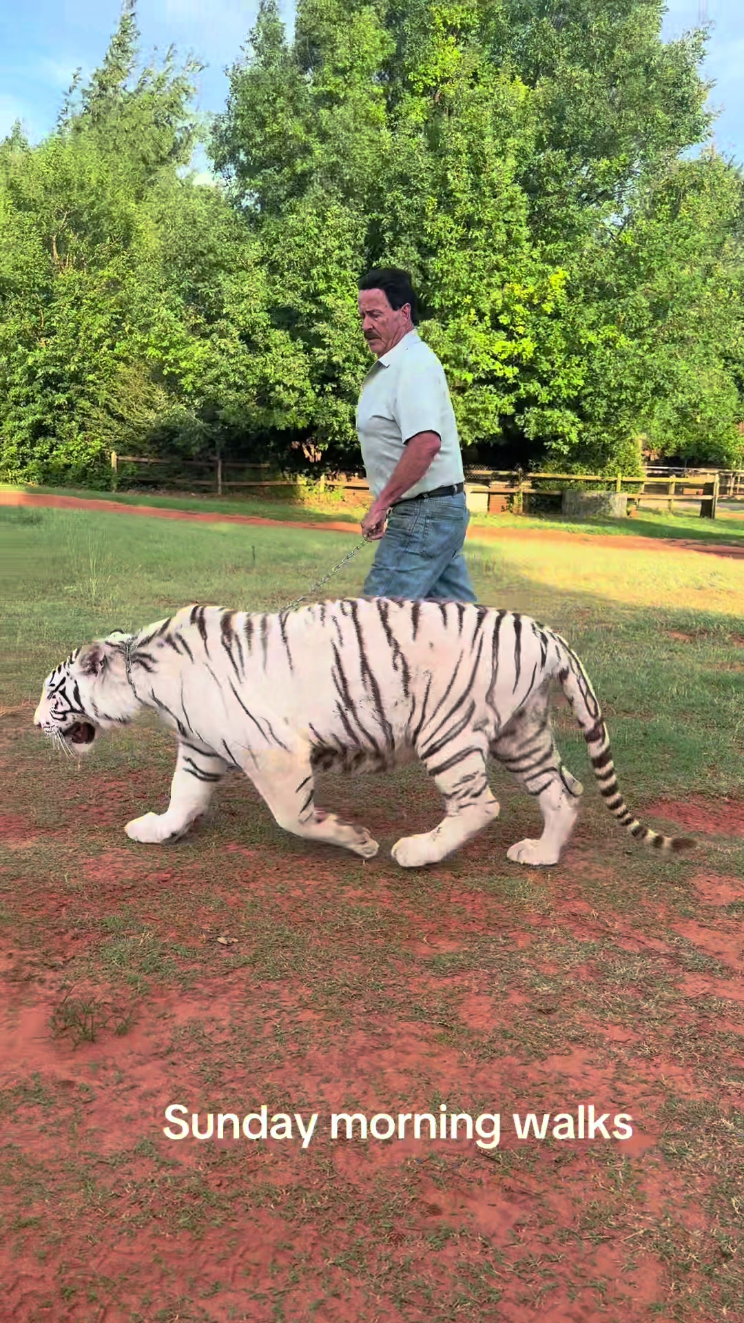 @Tigersafari